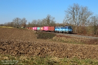 České dráhy in Lauffen  Seit einigen Jahren liebäugle ich mit dem Gedanken, mal nach Tschechien zu fahren um dort Eisenbahnfotos aufzunehmen. Aus verschiedenen Gründen hat sich dieser Wunsch jedoch noch nicht in die Realität umsetzen lassen. Daher kommt es mir durchaus entgegen, dass es im Fahrplanjahr 2025 einen Containerzug gibt, der mit einem tschechischen ČD-Vectron bespannt wird und auf dem letzten Stück seines Laufwegs die heimische Frankenbahn passiert. Durch eine Vormeldung gelang mir ein Foto von  383 003  mit DGS 88923 Hamburg-Waltershof Dradenau - Kornwestheim Rbf an der Lauffener Senke.