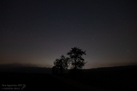 Nacht am Wilhelmstaler Bach  Am Abend des 20. Januar 2026 waren wir auf der Jagd nach Polarlichtern. Da es zu Hause bereits neblig war und damit alle zuvor erkundeten Standpunkte ausschieden, mussten wir bei Dunkelheit kreativ werden. Bei Massenbachhausen fanden wir schließlich einen schönen, nach Norden gerichteten Standort. Leider zog auch dort Nebel auf, und die Polarlichter waren zu diesem Zeitpunkt noch nicht sichtbar. In dem Moment, als sie sich dann endlich zeigten, hatten wir keinen wirklich passenden Standort. So muss ich zugeben, dass mir das Testfoto am Wilhelmstaler Bach mit dem aufziehenden Nebel am besten gefällt.