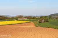 Rapsblüten im Leintal  Rapsblüten leuchten im Frühjahr wie ein goldgelber Teppich über Felder und Wiesen und verströmen dabei einen süßlichen, intensiven Duft, der Bienen und Spaziergänger gleichermaßen anzieht. Beim Gassigehen mit unserem Theo entdeckten wir die toll blühenden Stettener Rapsfelder in der Nähe der Kraichgaubahn. Am Abend des 28. April 2025 ergab sich eine sonnige Chance auf ein paar verschiedene Umsetzungen. Am besten gefällt mir dieses Foto von  1440 244  als RE 15858 Heilbronn Hbf - Karlsruhe Hbf bei Stetten am Heuchelberg.