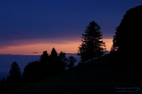 Abendstimmung im Hochschwarzwald  Am Abend des 12. September 2025 ergab sich aus unserer Ferienwohnung im Hochschwarzwald dieser Anblick. Die Baumlinien zeichnen sich scharf vor dem farbigen Himmel ab - ein stiller Moment zwischen Tag und Nacht. Das Foto zeigt eine bewaldete Hügelkette während der Dämmerung. Die Baumkronen erscheinen als dunkle Silhouetten vor einem farbintensiven Himmel, der von tiefem Blau im oberen Bereich zu warmen Orange- und Rosatönen am Horizont übergeht. Die Szene vermittelt eine ruhige, klare Atmosphäre - und hielt sich einige Zeit am Abendhimmel.