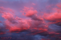 Sonnenuntergang  Am Abend des 20. Juli 2025 zeigte sich der Himmel über Stetten in beeindruckender Farbenpracht. Die Sonne war bereits verschwunden, doch ihr Nachglühen tauchte die Wolken in ein intensives Pink – satt, kräftig und lebendig. Die Farbgebung wirkte fast surreal, als hätte jemand mit einem kräftigen Pinselstrich über die Szene gemalt. Die Wolken erschienen dabei wie leuchtende Skulpturen am Himmel, dynamisch und ausdrucksstark. Es war ein Moment, der innehalten ließ – visuell kraftvoll und voller Atmosphäre. Nicht alltäglich, sondern ein kurzer Blick auf die außergewöhnliche Schönheit der Natur im perfekten Licht.